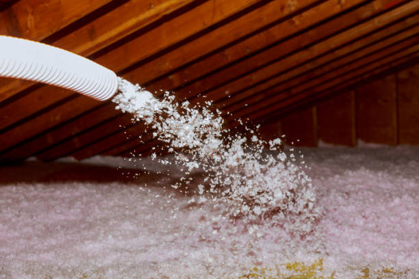 Garage Insulation Installation in Gillespie, IL
